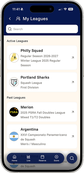 newpastleagues